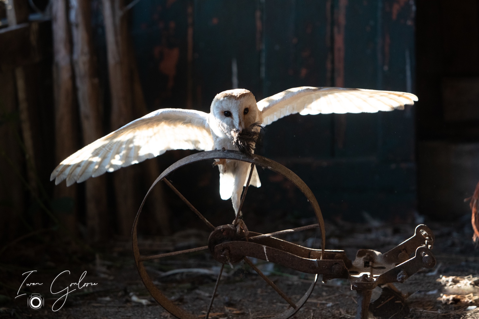 04 maart 2022 161031 1DX44223